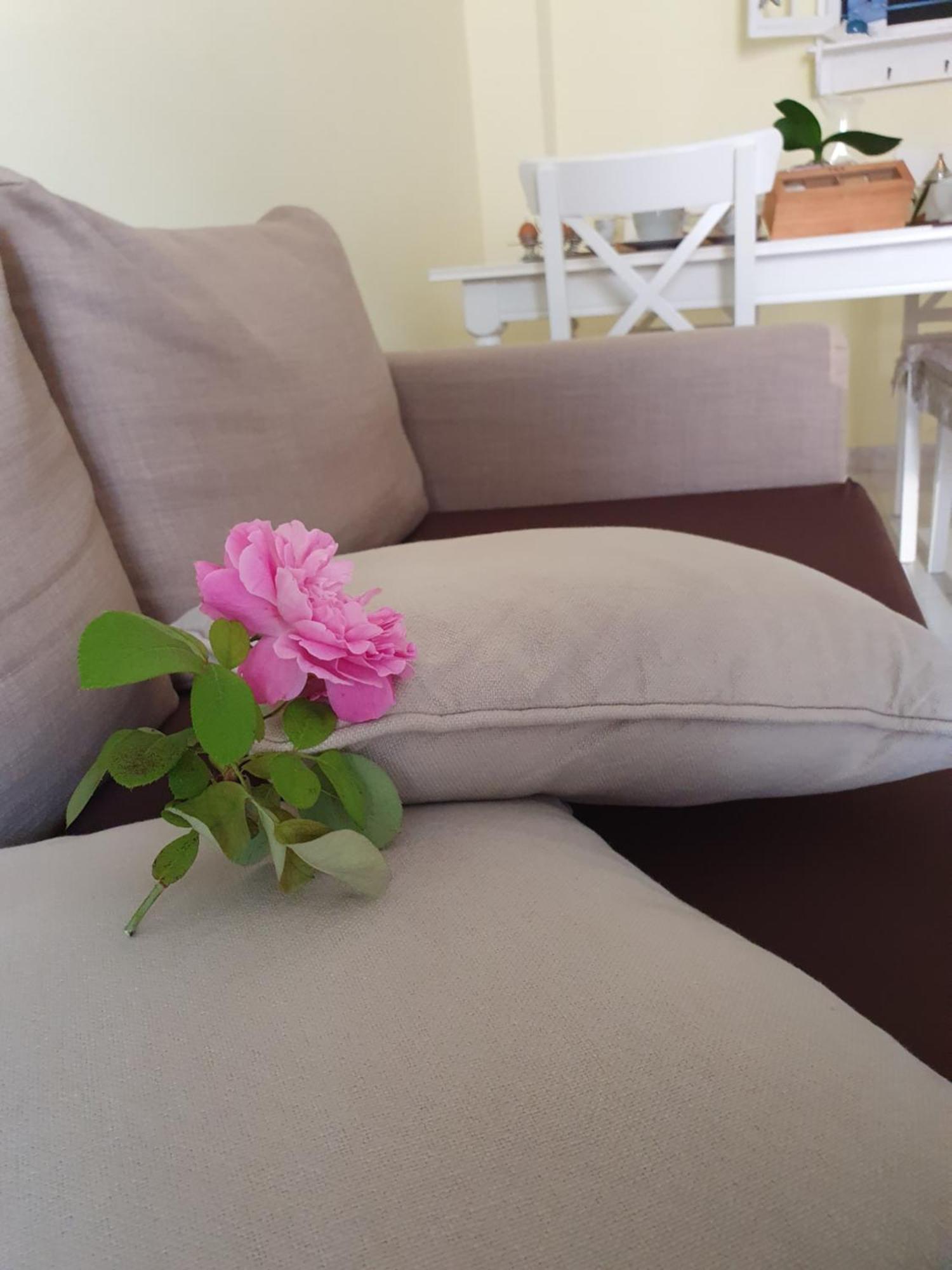 Casa Vacanze Rosy "Nel Verde" Palinuro Buitenkant foto