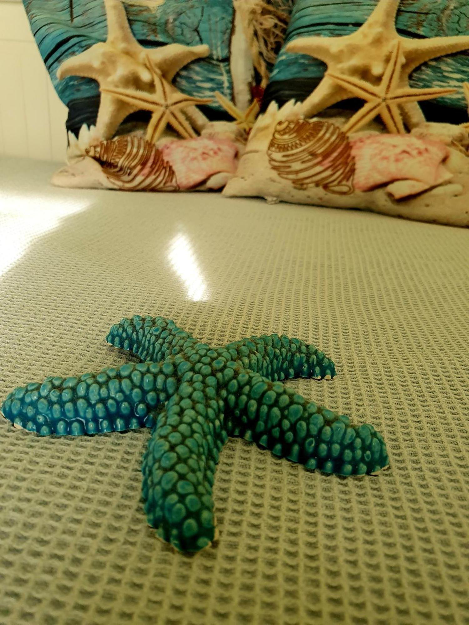 Casa Vacanze Rosy "Nel Verde" Palinuro Buitenkant foto