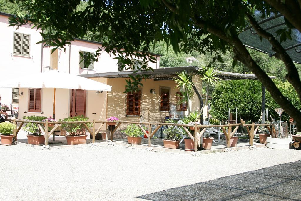 Casa Vacanze Rosy "Nel Verde" Palinuro Kamer foto