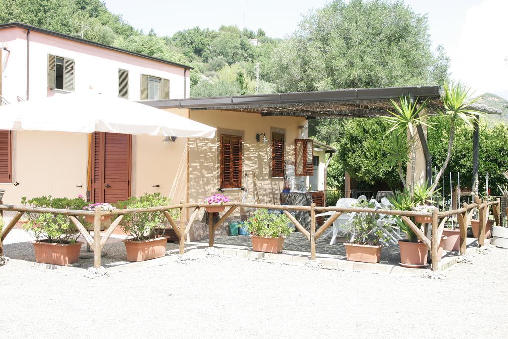 Casa Vacanze Rosy "Nel Verde" Palinuro Kamer foto