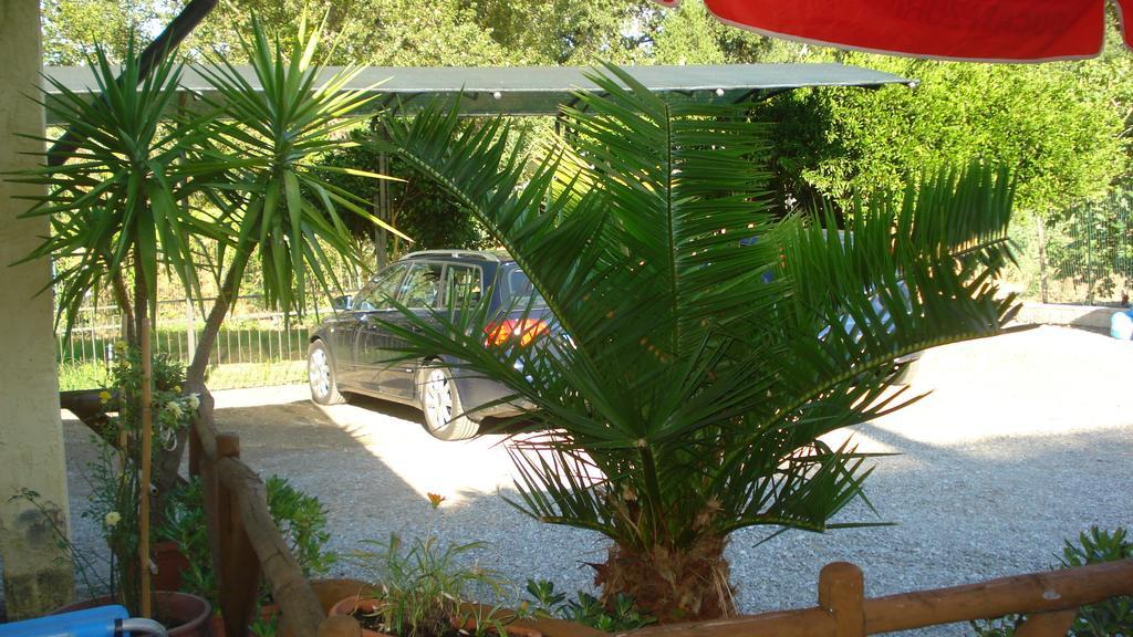 Casa Vacanze Rosy "Nel Verde" Palinuro Buitenkant foto